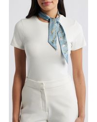 Echo - Charmed Life Silk Ribbon Scarf - Lyst