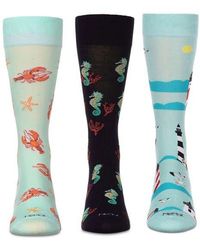 Memoi - Assorted 3-Pack Crew Socks - Lyst