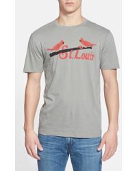 red jacket cardinals shirt