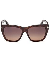 Tom Ford - Flynn 55Mm Gradient Butterfly Sunglasses - Lyst