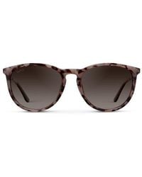 WMP Eyewear - Drew - Lyst