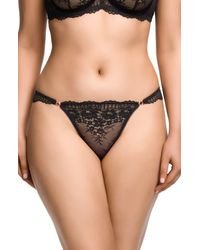 Dita Von Teese - Floradora Lace Thong - Lyst