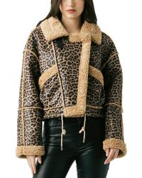 Blank NYC - Bonded Leopard Print Faux Shearling Moto Jacket - Lyst