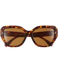 Tory Burch - Miller 55mm Oversized Cat-eye Sunglasses - Lyst