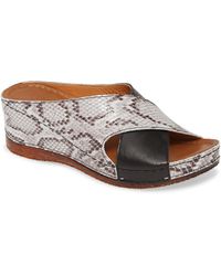 sheridan mia shoes