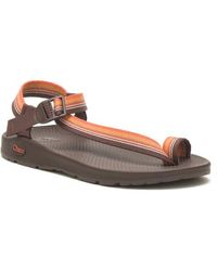 Chaco - Bodhi Toe Loop Sandal - Lyst