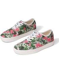 cordones toms
