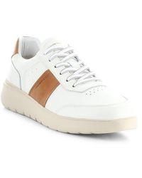 Ambitious - 12863 Low Top Sneaker - Lyst