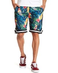 american stitch tropical print shorts