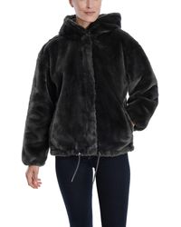 the best teddy bear coats