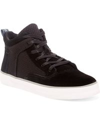 toms black high tops