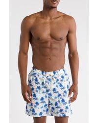 Rainforest - Sea Turtle Seersucker Swim Trunks - Lyst