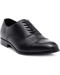 Abound - Harry Cap Toe Derby - Lyst