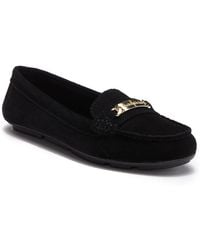 calvin klein lunasi suede