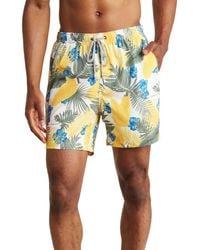 Rainforest - Hot Tropics Swim Trunks - Lyst