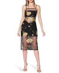 Walter Baker - Petra Sequin Embroidered Flower Mesh Cocktail Dress - Lyst