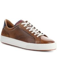 Ambitious - 11218 Low Top Sneaker - Lyst