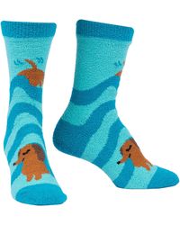 Sock It To Me - Not Every Dog Socks - Lyst