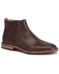 clarks vine birch