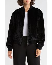 Sanctuary - Velvet Bomber Jacket - Lyst