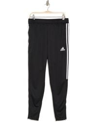 adidas Synthetic Real Madrid Human Race Training Tracksuit Bottoms in Black  for Men - Lyst