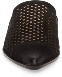 Bettye Muller Concepts Cara Leather Perforated Mule In Black Nubuck At Nordstrom Rack