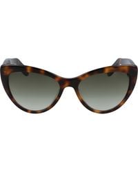 Ferragamo - Salvatore 56Mm Cat Eye Sunglasses - Lyst