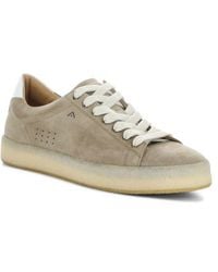 Ambitious - 13410 Low Top Sneaker - Lyst