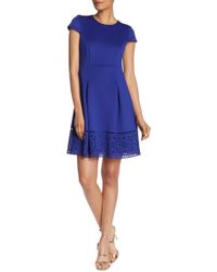 vince camuto laser cut fit and flare dress
