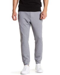 theory sweatpants