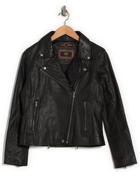 frye leather jacket womens