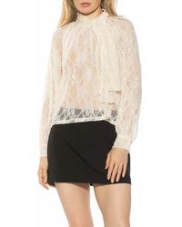 Alexia Admor - Rae Lace Top With Neck Tie - Lyst