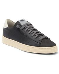 P448 - Jack Sneaker - Lyst