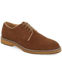 Dune Fexton Perforated Suede Shoes in Stone Suede (Brown Dune Fexton Perforated Suede Shoes in Stone Suede (Brown