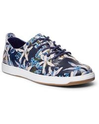 tommy bahama womens sneakers