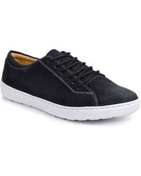 Sandro Moscoloni - 7-eyelet Blucher Suede Sneaker - Lyst