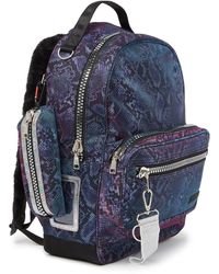 steve madden snakeskin backpack