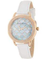 tommy bahama womens watch