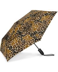 Shedrain - Windjammer Auto Open & Close Umbrella - Lyst