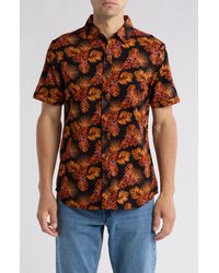Buffalo David Bitton - Siman Tropical Floral Print Short Sleeve Button-up Shirt - Lyst