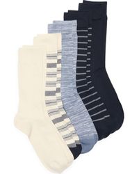 Nordstrom Rack - 5-Pack Assorted Stripe Cable Dress Socks - Lyst
