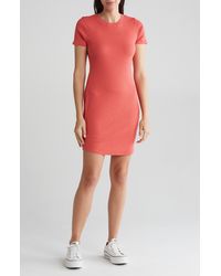 Melrose and Market - Short Sleeve Crewneck Mini Dress - Lyst