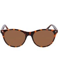 Cole Haan - 55mm Cat Eye Sunglasses - Lyst