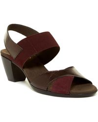 munro darling sandal
