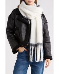 Steve Madden - Pop Border Stripe Scarf - Lyst