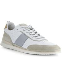 Ambitious - 11939 Low Top Sneaker - Lyst