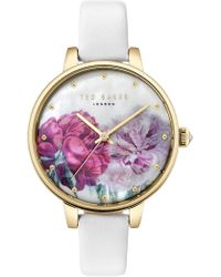 'kate' Casual Quartz Stainless And Baker Leather Ted Steel PiOXukZ