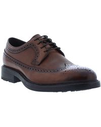 zanzara roman brogue derby
