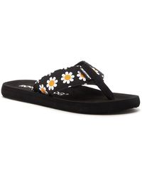 rocket dog daisy flip flops