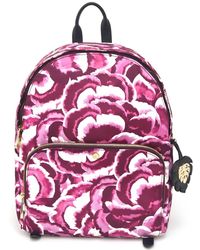 tommy bahama womens backpack